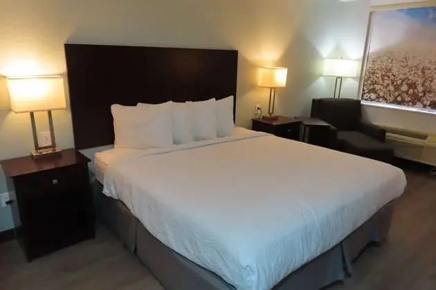 Standard Oda, 1 En Büyük (King) Boy Yatak, Sigara İçilmez, Buzdolabı ve Mikrodalga