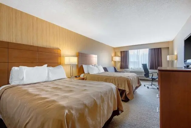 Standard Tek Büyük Yataklı Oda, 2 Çift Kişilik Yatak, Sigara İçilmez (Pet Friendly)