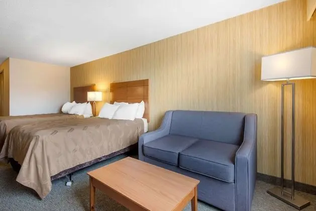Standard Tek Büyük Yataklı Oda, 2 Çift Kişilik Yatak, Sigara İçilmez (Pet Friendly)