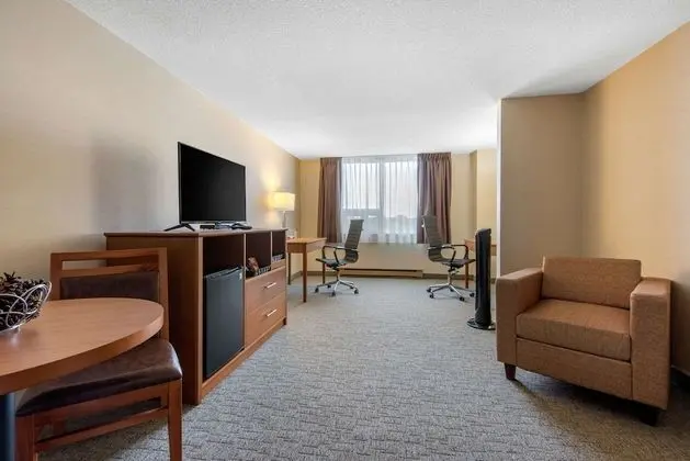 Standard Tek Büyük Yataklı Oda, 2 Çift Kişilik Yatak, Sigara İçilmez (Pet Friendly)