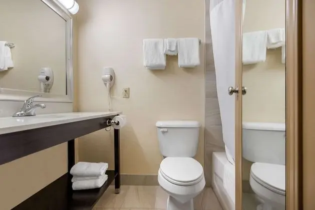 Standard Tek Büyük Yataklı Oda, 2 Çift Kişilik Yatak, Sigara İçilmez (Pet Friendly)
