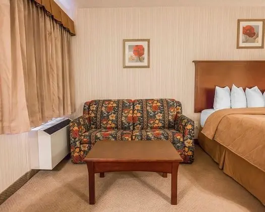Oda, 1 En Büyük (King) Boy Yatak ve Çekyat, Sigara İçilmez (2 Person Sofa Bed)