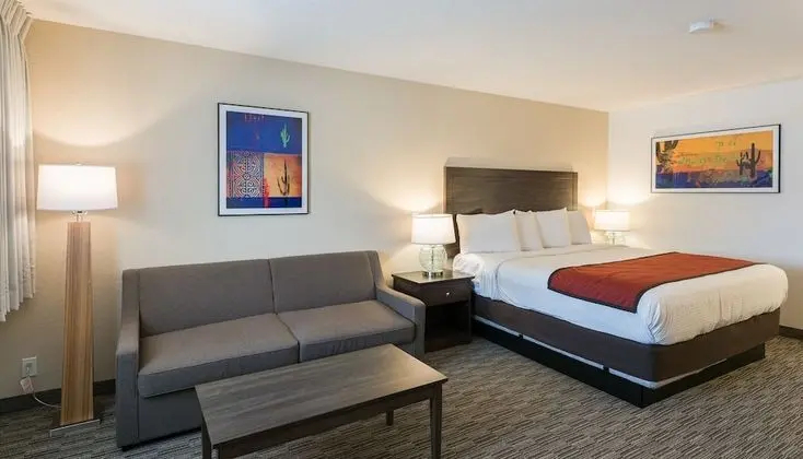 Comfort Tek Kişilik Oda, 1 En Büyük (King) Boy Yatak, Sigara İçilmez