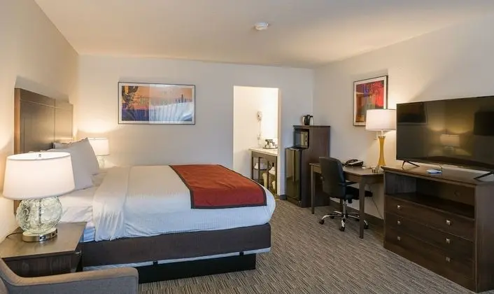 Comfort Tek Kişilik Oda, 1 En Büyük (King) Boy Yatak, Sigara İçilmez