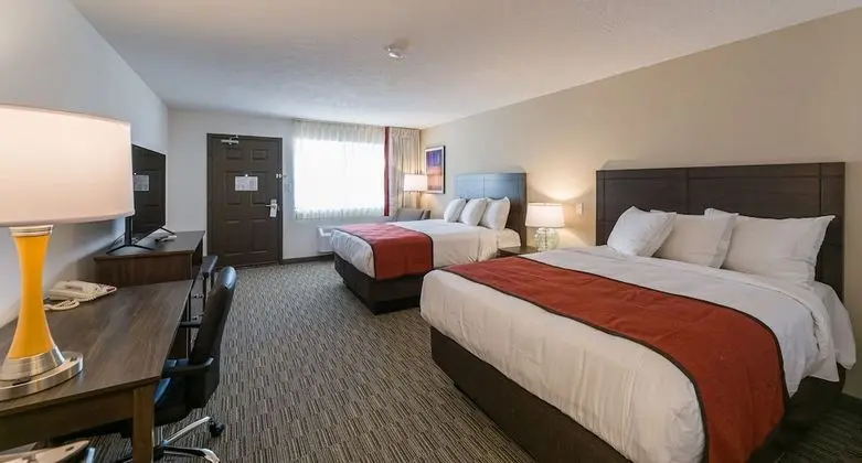 Tek Büyük Yataklı Oda, 2 Büyük (Queen) Boy Yatak, Engellilere Uygun, Özel Banyo