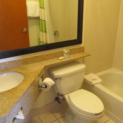 Standard Oda, 2 Çift Kişilik Yatak, Sigara İçilmez (Interior Corridor)