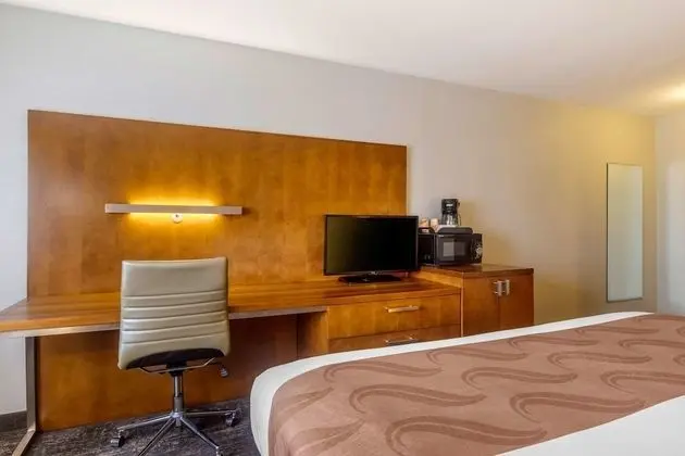 Oda, 1 En Büyük (King) Boy Yatak, Engellilere Uygun, Sigara İçilmez