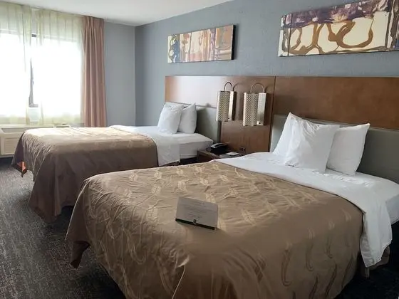 Standard Tek Büyük Yataklı Oda, 2 Çift Kişilik Yatak, Sigara İçilmez