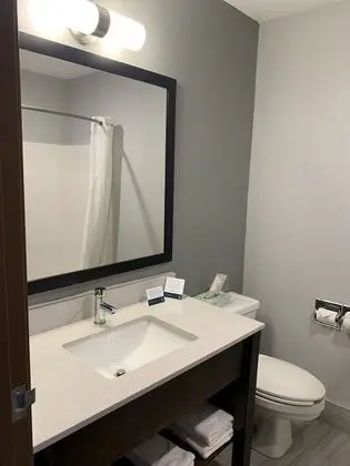 Standard Tek Büyük Yataklı Oda, 2 Çift Kişilik Yatak, Sigara İçilmez