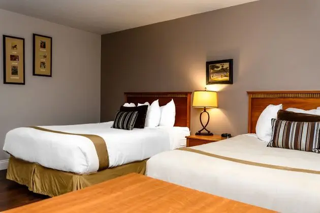 Çift ​​kişilik Two Queen Beds