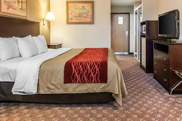 Oda, 1 En Büyük (King) Boy Yatak, Engellilere Uygun, Sigara İçilmez