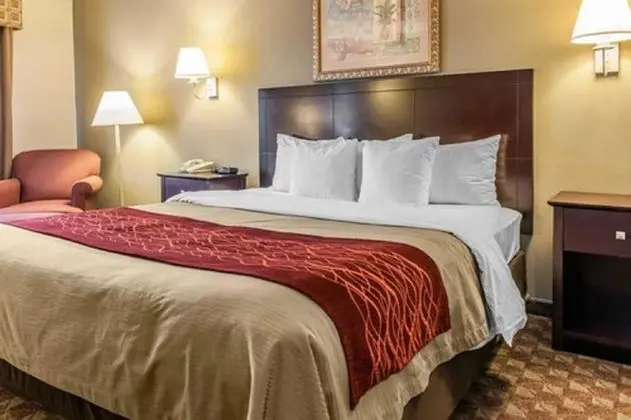 Oda, 1 En Büyük (King) Boy Yatak, Engellilere Uygun, Sigara İçilmez