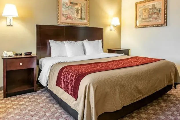 Standard Oda, 1 En Büyük (King) Boy Yatak, Sigara İçilmez