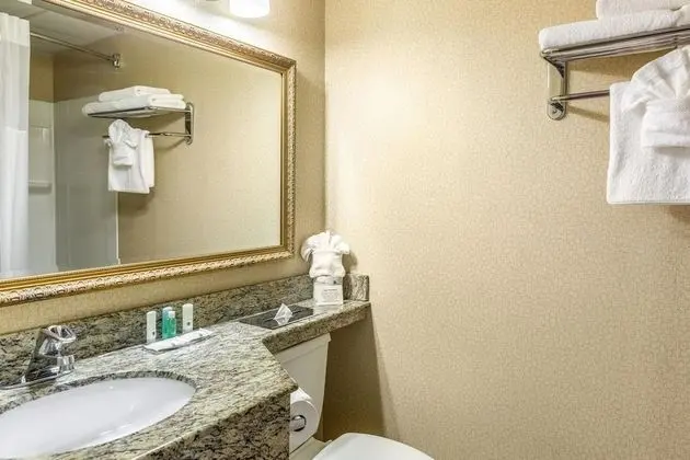 Standard Oda, 2 Büyük (Queen) Boy Yatak, Sigara İçilmez (Pet Friendly)