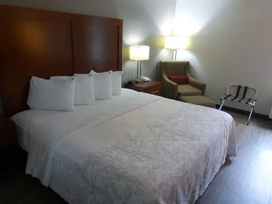 Premium Oda, 1 En Büyük (King) Boy Yatak, Engellilere Uygun (Upgraded Bedding & Snack, Smoke Free)