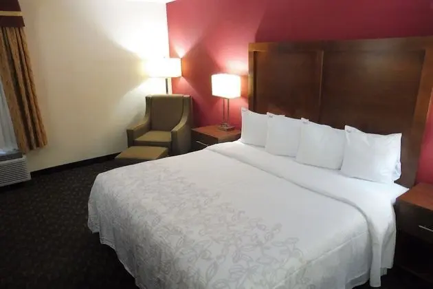 Premium Oda, 1 En Büyük (King) Boy Yatak (Upgraded Bedding & Snack, Smoke Free)