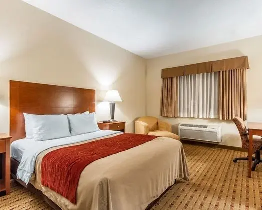 Oda, 1 Büyük (Queen) Boy Yatak