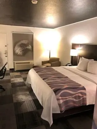 Süit, 1 En Büyük (King) Boy Yatak, Sigara İçilmez, Buzdolabı ve Mikrodalga