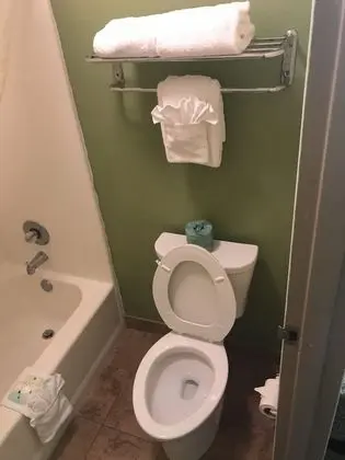 Standard Tek Büyük Yataklı Oda, 2 Çift Kişilik Yatak, Sigara İçilmez