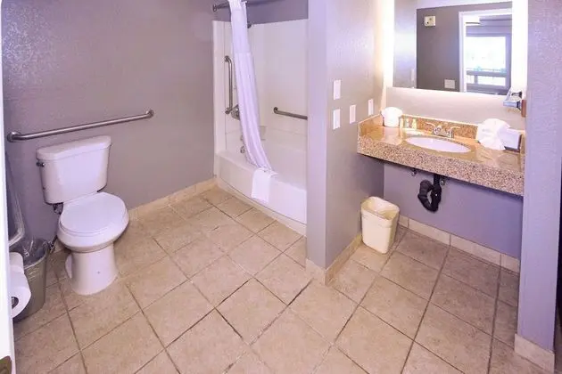 Oda, 1 En Büyük (King) Boy Yatak, Engellilere Uygun, Sigara İçilmez (Accessible Tub)