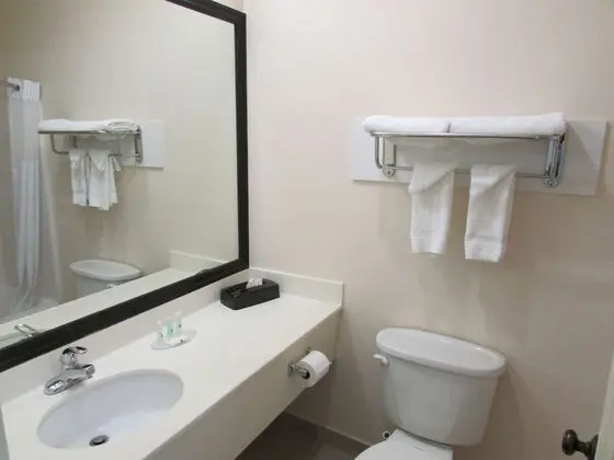 Standard Oda, 1 En Büyük (King) Boy Yatak, Sigara İçilmez