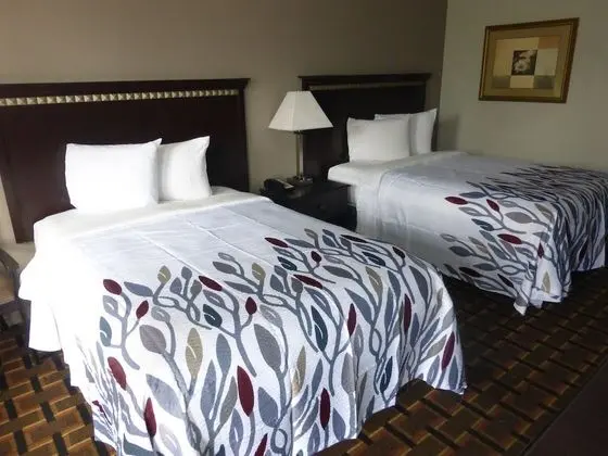 Deluxe Oda, 2 Çift Kişilik Yatak, Sigara İçilmez