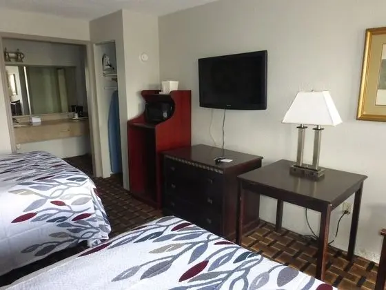 Deluxe Oda, 2 Çift Kişilik Yatak, Sigara İçilmez