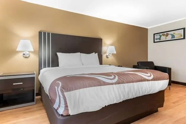 1 King Bed, Nonsmoking Pet Friendly