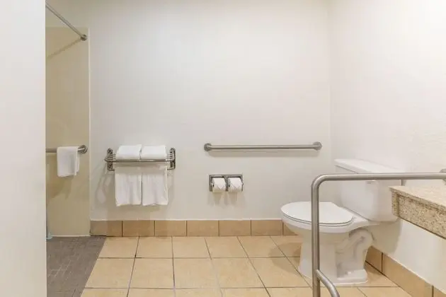 1 King Bed, Nonsmoking, Interior Corridor, Accessible Room, Roll-in Shower