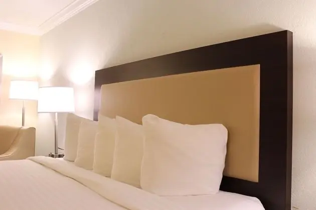 Premium King Room