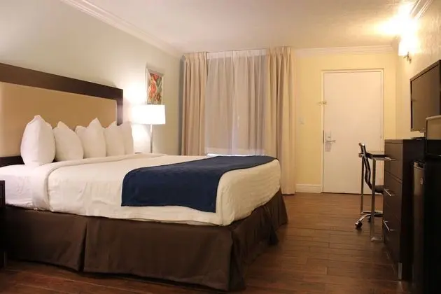 Premium King Room