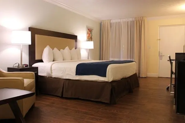 Premium King Room