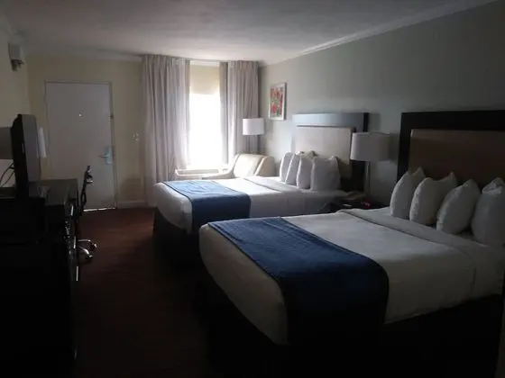 Standard Double Room, 2 Double Beds