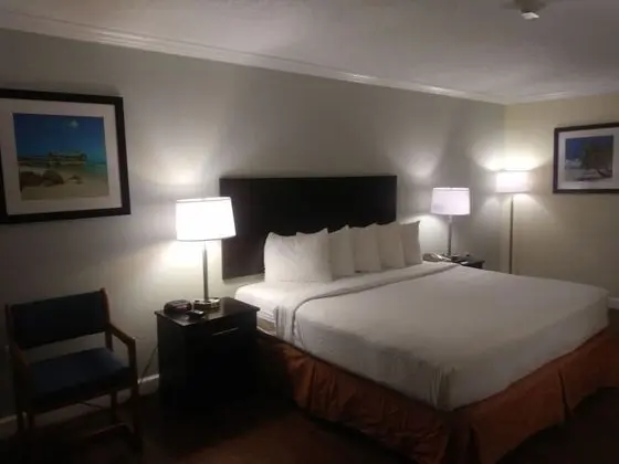 Standard King Room, 1 King Bed