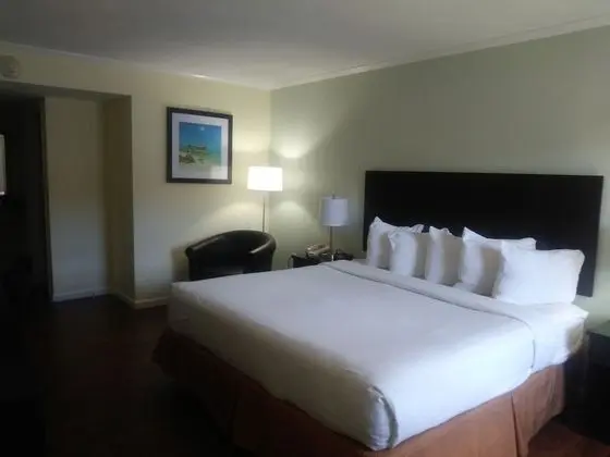 Standard King Room, 1 King Bed