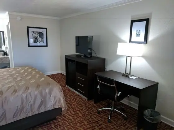 Standard Oda, 1 En Büyük (King) Boy Yatak, Sigara İçilmez