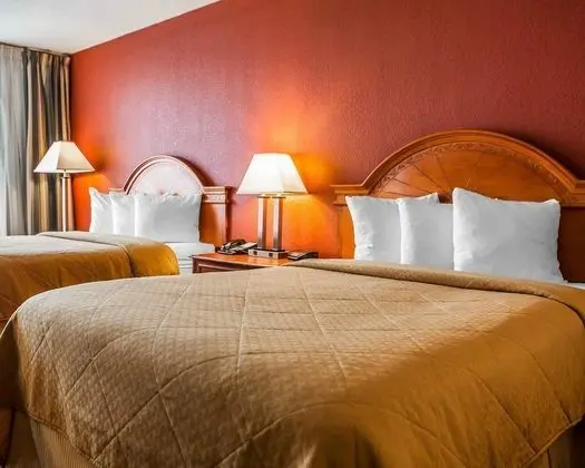 Standard Tek Büyük Yataklı Oda, 2 Çift Kişilik Yatak, Sigara İçilmez