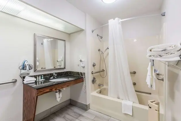 Oda, 1 En Büyük (King) Boy Yatak, Engellilere Uygun, Sigara İçilmez (Upgrade, Roll-In Shower)