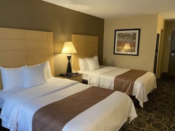 Standard Oda, 2 Çift Kişilik Yatak, Sigara İçilmez