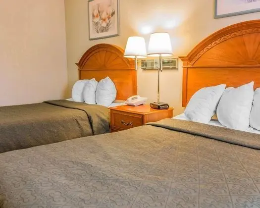 Standard Tek Büyük Yataklı Oda, 2 Çift Kişilik Yatak, Sigara İçilmez