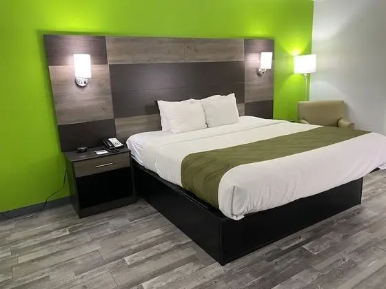 Standard Oda, 1 En Büyük (King) Boy Yatak, Sigara İçilmez