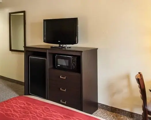 Standard Tek Büyük Yataklı Oda, 2 Çift Kişilik Yatak, Sigara İçilmez