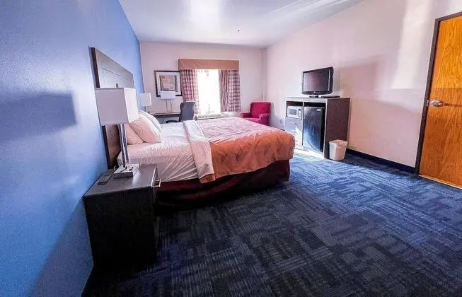 Luxury Tek Kişilik Oda