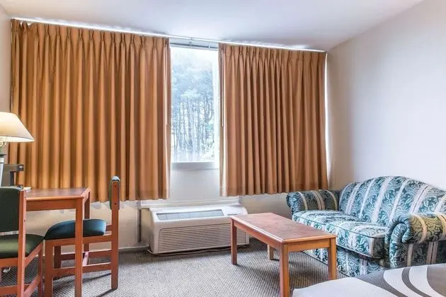 Oda, 1 En Büyük (King) Boy Yatak, Engellilere Uygun, Sigara İçilmez