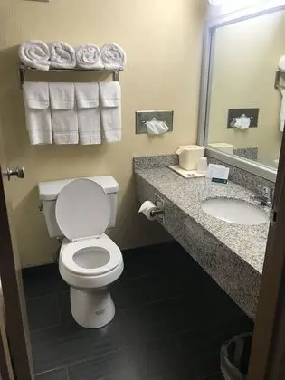 Tek Büyük Yataklı Oda, 2 Çift Kişilik Yatak, Sigara İçilebilir