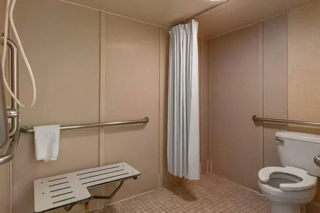 Oda, 1 En Büyük (King) Boy Yatak, Engellilere Uygun, Sigara İçilmez (Roll-ln Shower)