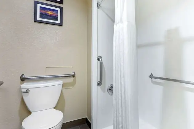 Oda, 1 Büyük (Queen) Boy Yatak, Engellilere Uygun, Sigara İçilmez (Roll-In Shower)
