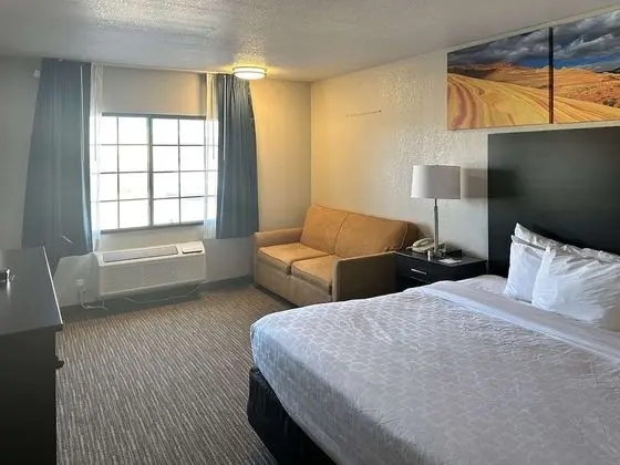 Standard Oda, 1 En Büyük (King) Boy Yatak, Sigara İçilmez