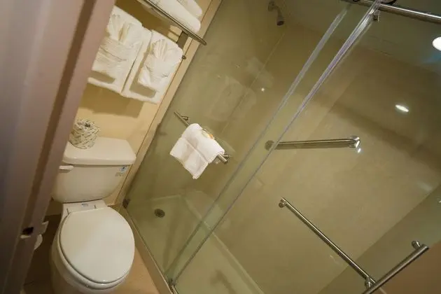 Süit, 1 En Büyük (King) Boy Yatak, Sigara İçilmez (with Jetted Tub)