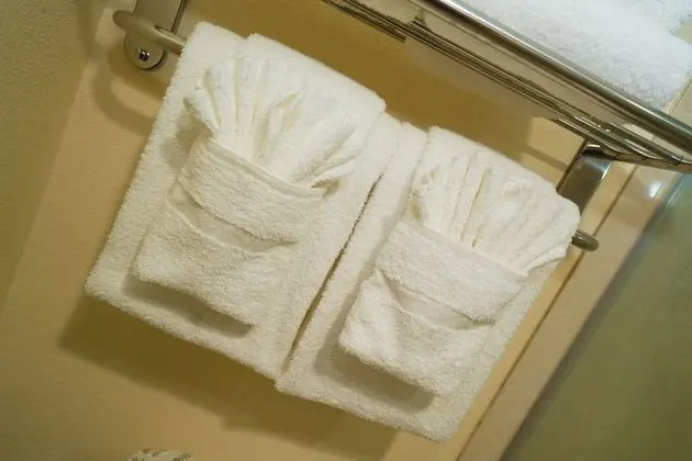 Süit, 1 En Büyük (King) Boy Yatak, Sigara İçilmez (with Jetted Tub)